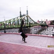 2017 HUNGARY Budapest Liberty Bridge over Danube
